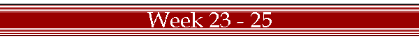 Week 23 - 25