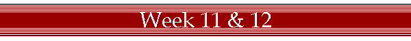 Week 11 & 12