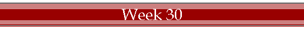 Week 30