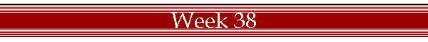 Week 38