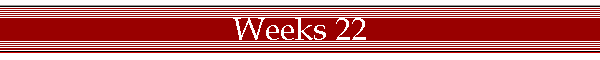 Weeks 22